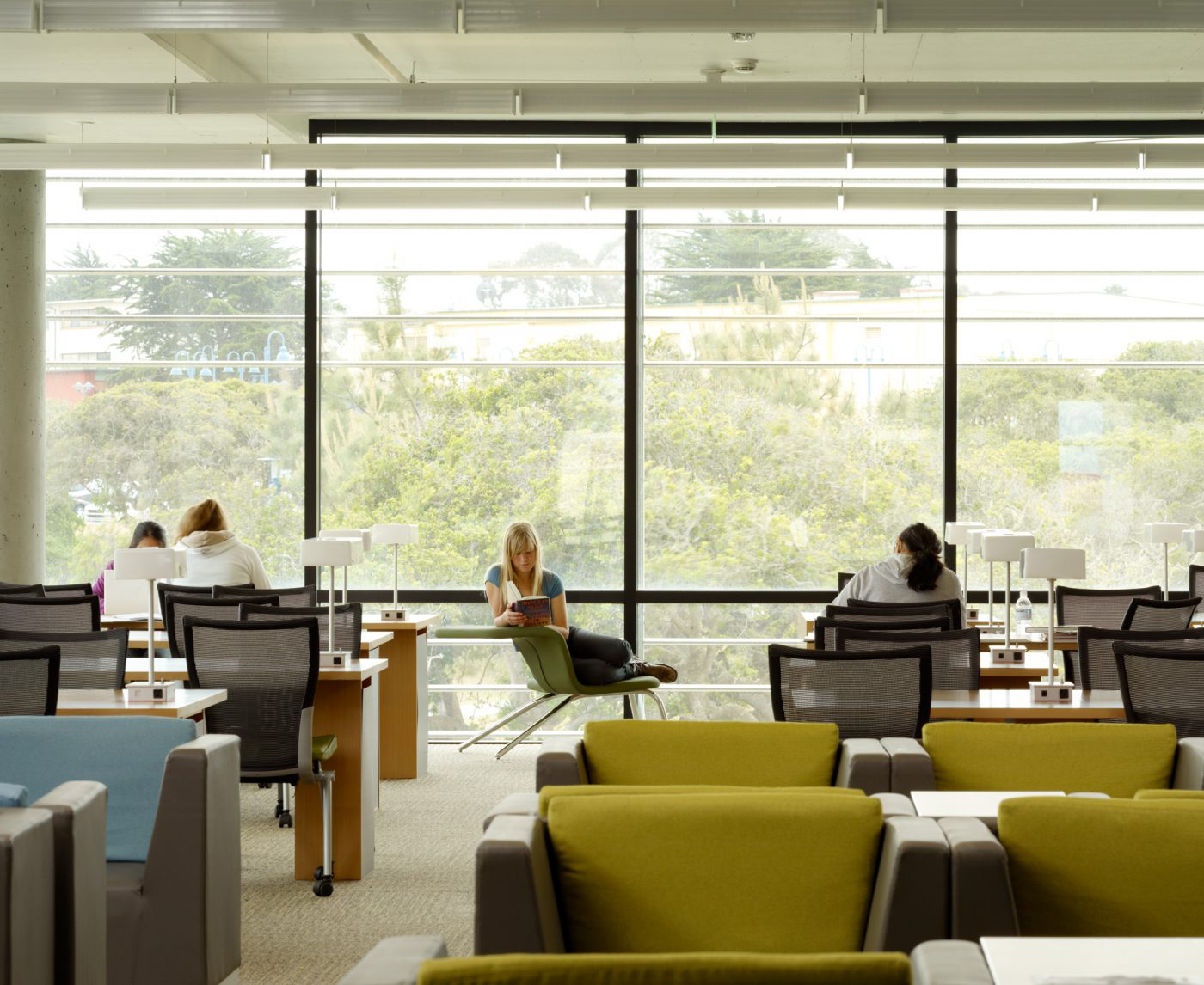 library interior-windows