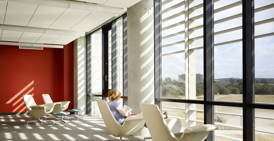library interior-windows