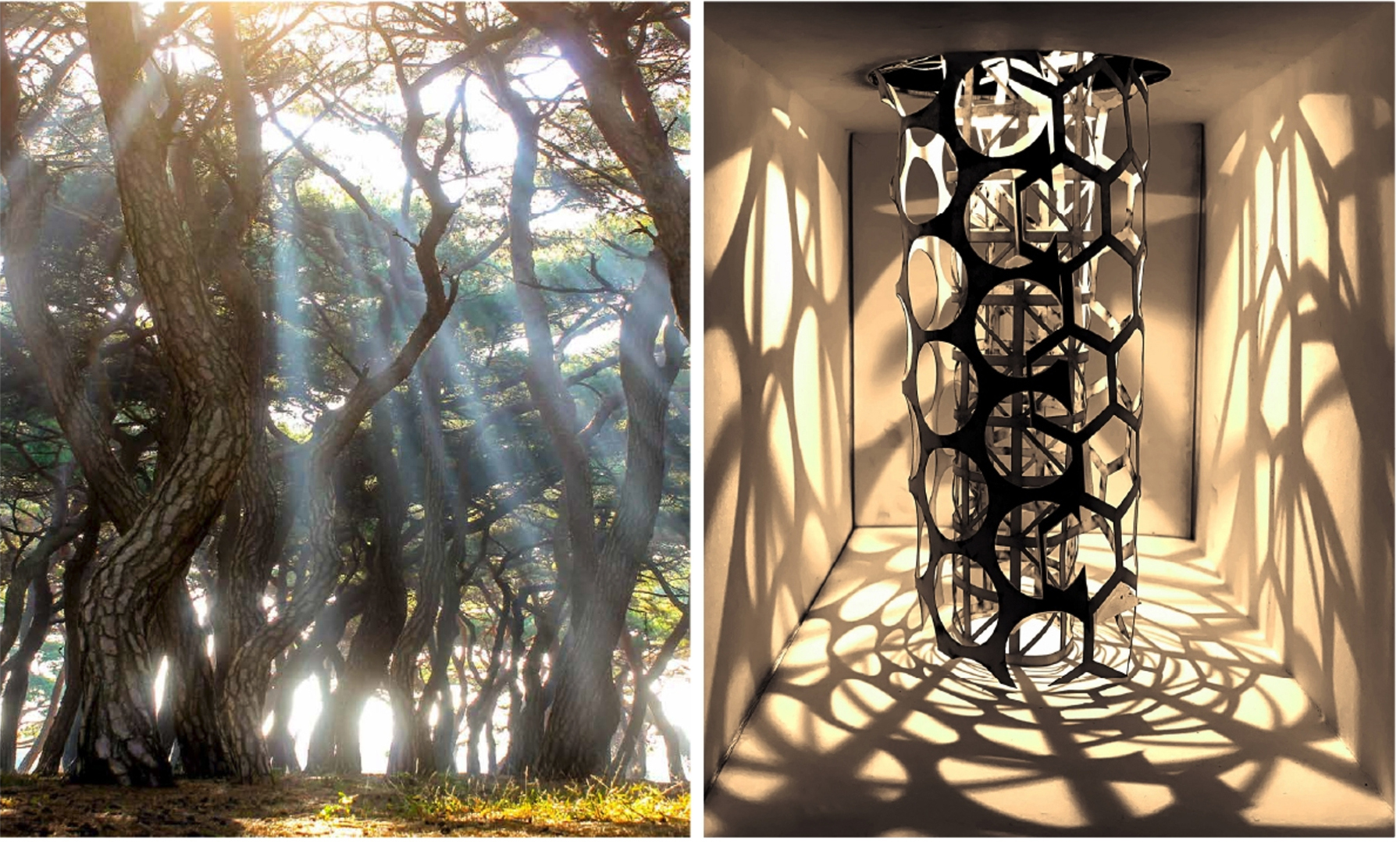 student project with light